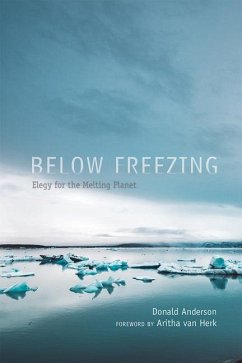 Below Freezing - Anderson, Donald