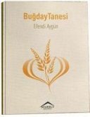 Bugday Tanesi