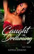 Caught Me Dreaming 3 (eBook, ePUB) - Bild 1