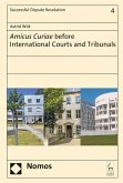 Amicus Curiae before International Courts and Tribunals (eBook, PDF)
