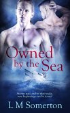 Owned by the Sea (eBook, ePUB) Owned by the Sea (eBook, ePUB)