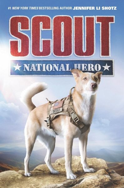Scout: National Hero (eBook, ePUB) Scout: National Hero (eBook, ePUB)