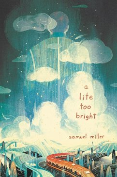 A Lite Too Bright (eBook, ePUB) - Miller, Samuel