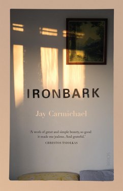 Cover Ironbark (eBook, ePUB)