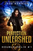 Perfection Unleashed (eBook, ePUB)