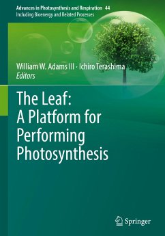 The Leaf: A Platform for Performing Photosynthesis