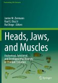 Heads, Jaws, and Muscles