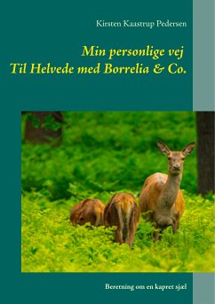 Min personlige vej Til Helvede med Borrelia & Co. (eBook, ePUB) - Pedersen, Kirsten Kaastrup
