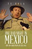 One Bad Night in Mexico (eBook, ePUB)