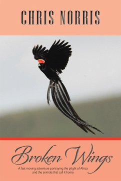 Cover Broken Wings (eBook, ePUB)