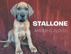 Cover Stallone (eBook, ePUB)