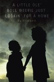 A Little Ole' Boll Weevil Just Lookin' for a Home (eBook, ePUB)