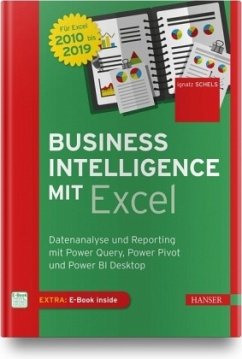 Business Intelligence mit Excel - Schels, Ignatz