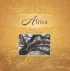 Africa (eBook, ePUB) - McDonough, Mary T