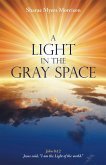 A Light in the Gray Space (eBook, ePUB)