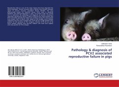 Pathology & diagnosis of PCV2 associated reproductive failure in pigs
