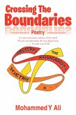 Crossing the Boundaries (eBook, ePUB)