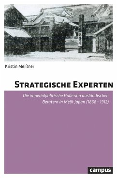 Strategische Experten (eBook, PDF) - Meißner, Kristin