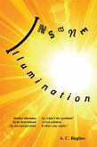 Insane Illumination (eBook, ePUB)