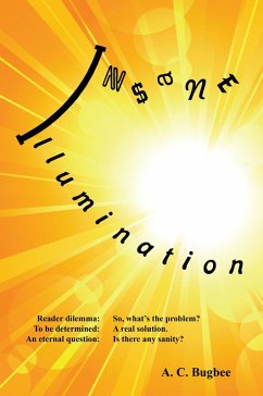 Insane Illumination (eBook, ePUB) - Bugbee, A. C.