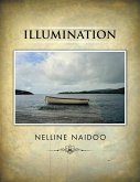 Illumination (eBook, ePUB)