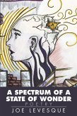 A Spectrum of a State of Wonder (eBook, ePUB)