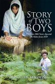 Story of Two Boys (eBook, ePUB)