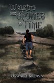 Walking the Stones of Time (eBook, ePUB)