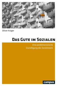 Das Gute im Sozialen (eBook, PDF) - Krüger, Oliver