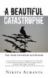 A Beautiful Catastrophe (eBook, ePUB) - Bild 1