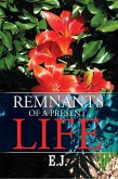 Remnants of a Present Life (eBook, ePUB)