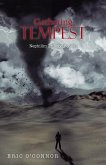 Gathering Tempest (eBook, ePUB)