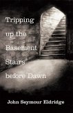 Tripping up the Basement Stairs Before Dawn (eBook, ePUB)