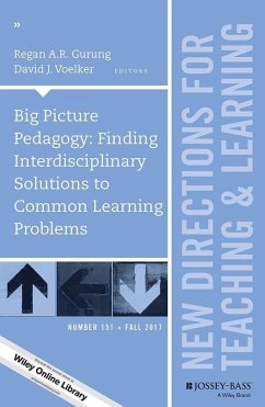 Big Picture Pedagogy (eBook, ePUB)