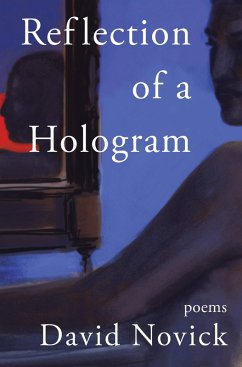 Reflection of a Hologram (eBook, ePUB) - Novick, David