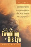 In the Twinkling of His Eye (eBook, ePUB)