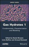 Gas Hydrates 1 (eBook, PDF)