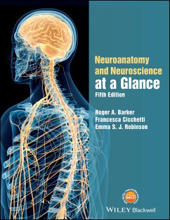 Neuroanatomy and Neuroscience at a Glance (eBook, ePUB) - Barker, Roger A.; Cicchetti, Francesca; Robinson, Emma S. J.