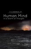Human Mind in a Storm of Thought (eBook, ePUB)
