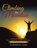Climbing the Mountain (eBook, ePUB)