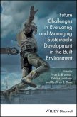 Future Challenges in Evaluating and Managing Sustainable Development in the Built Environment (eBook, PDF)