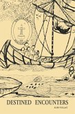Destined Encounters (eBook, ePUB)