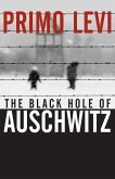 The Black Hole of Auschwitz (eBook, ePUB)
