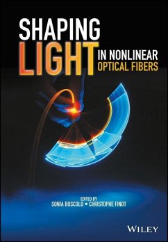 Shaping Light in Nonlinear Optical Fibers (eBook, PDF)