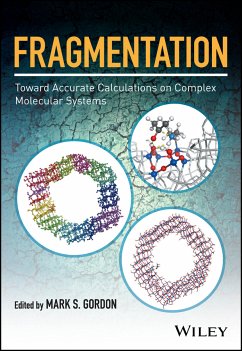 Fragmentation (eBook, PDF)