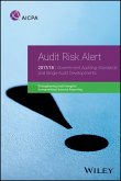 Audit Risk Alert (eBook, PDF)