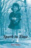 Spark in Time (eBook, ePUB)