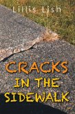Cracks in the Sidewalk (eBook, ePUB)