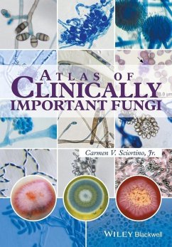 Atlas of Clinically Important Fungi (eBook, PDF) - Sciortino, Carmen V.