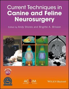 Current Techniques in Canine and Feline Neurosurgery (eBook, ePUB)